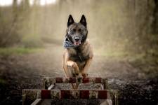 Thomas DEROISSART - SPARCK PHOTOGRAPHIE